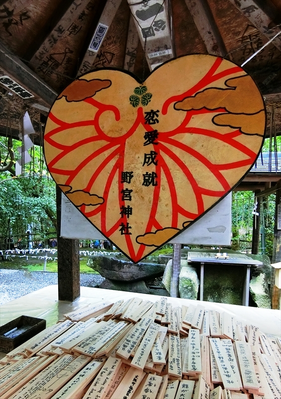 CIMG6553_R