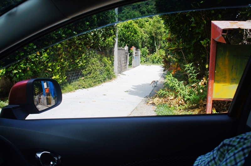 DSC00959_R