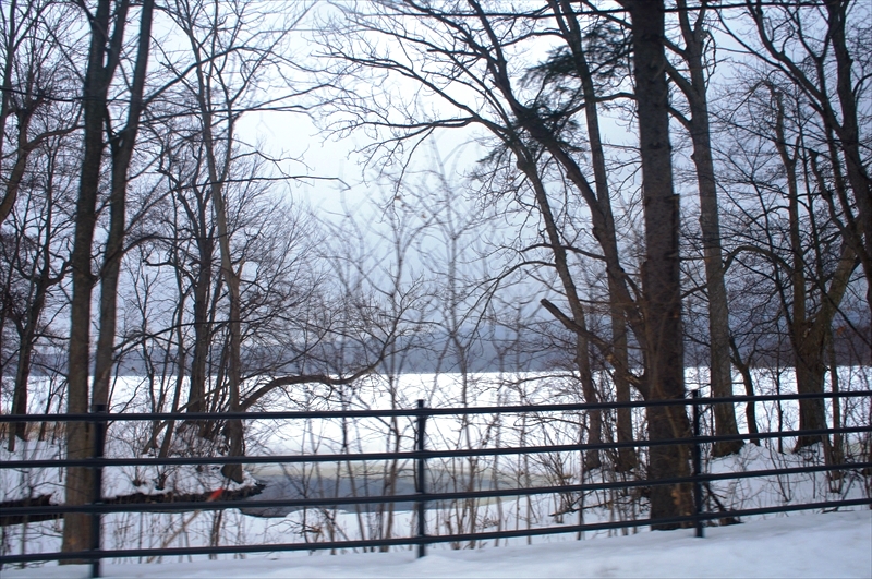 DSC00368_R
