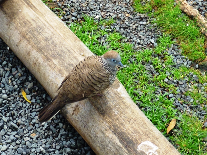 P1020359_R