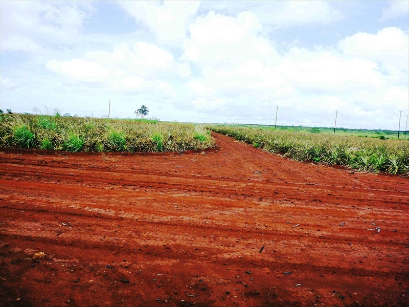 P1090137_R