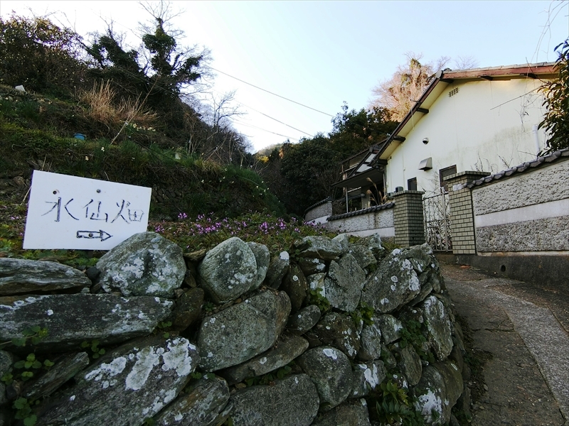 CIMG6972_R