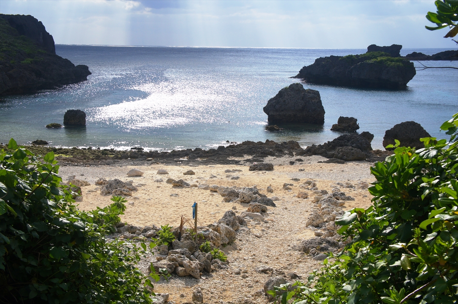 DSC00474_R