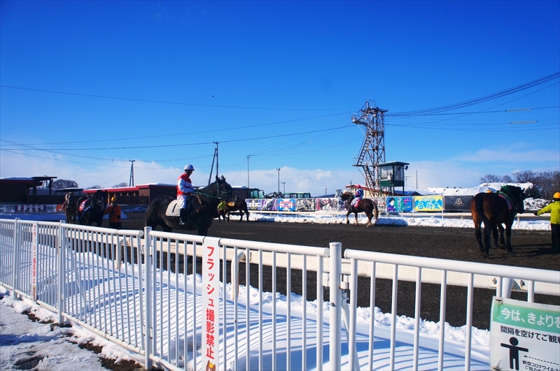 DSC00169_R