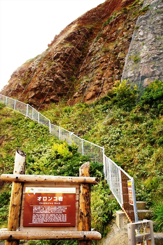 DSC00366_R