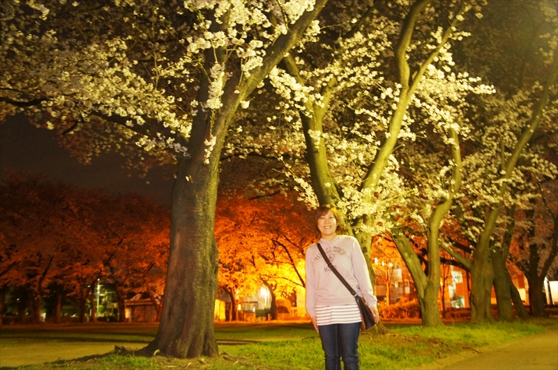 DSC01241_R