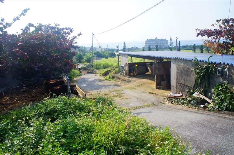 DSC00682_R