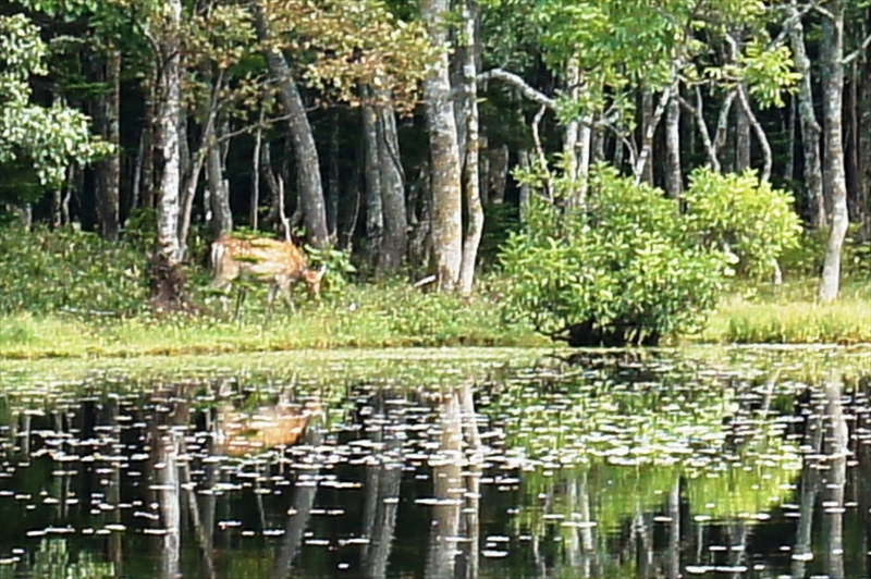 DSC01061_R