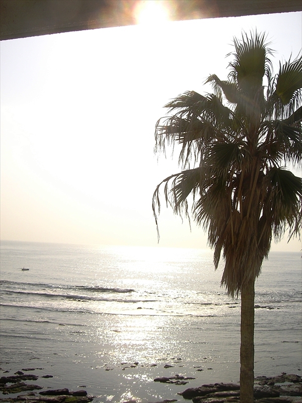 CIMG6567_R