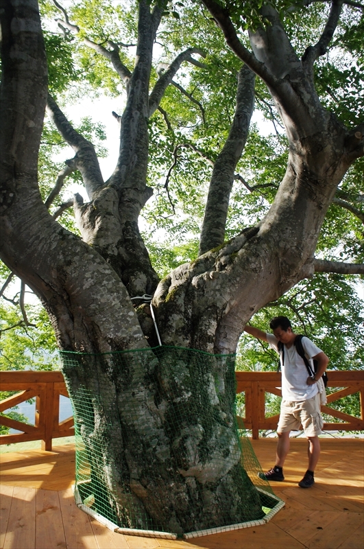 DSC07430_R