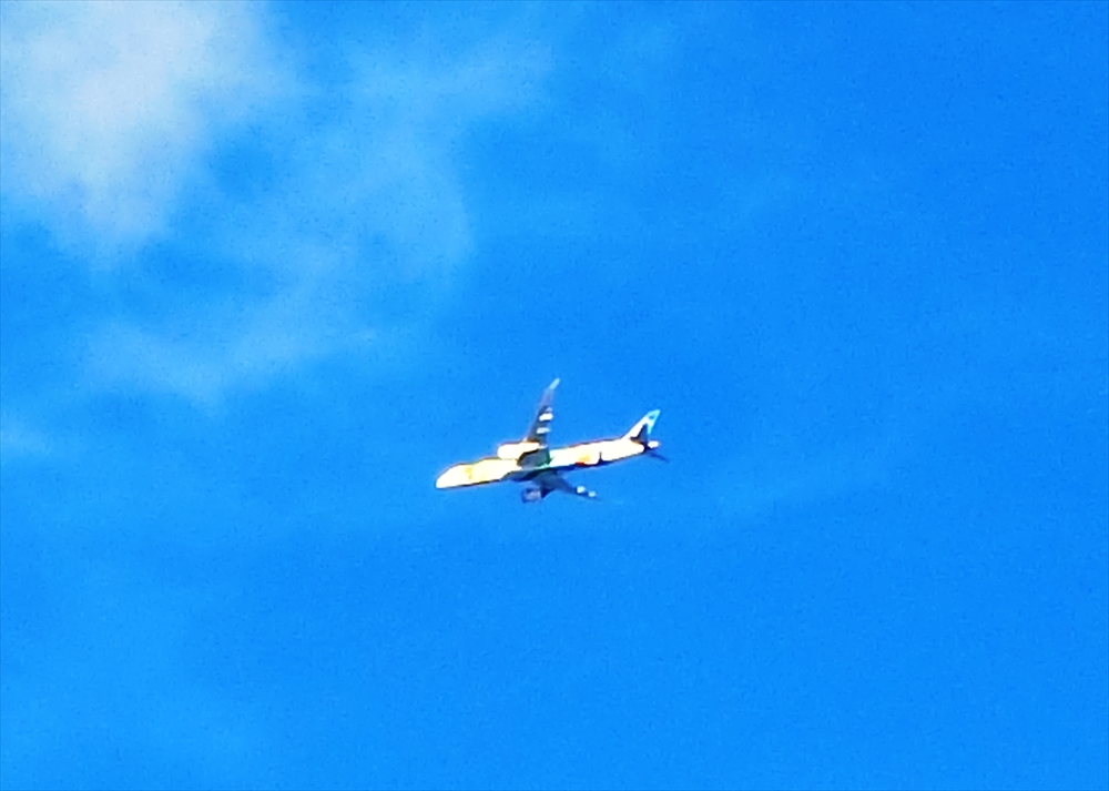 CIMG3501_R