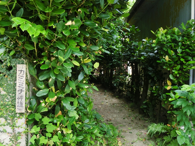 CIMG8578_R