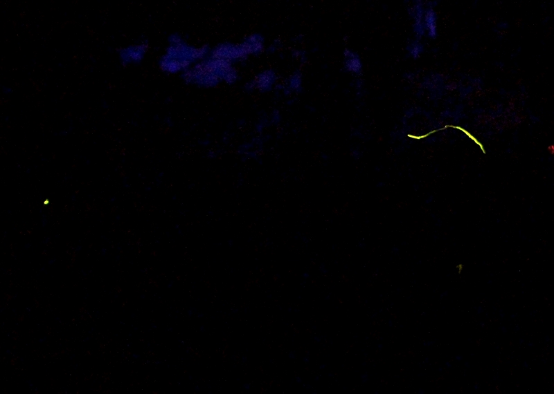 DSC00133_R