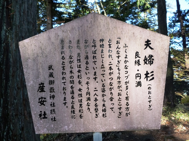 P1030466_R