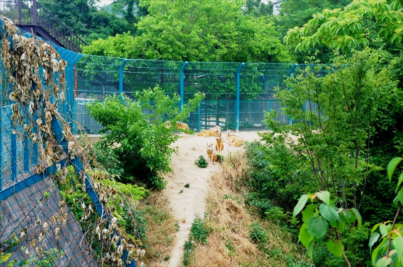 DSC02483_R