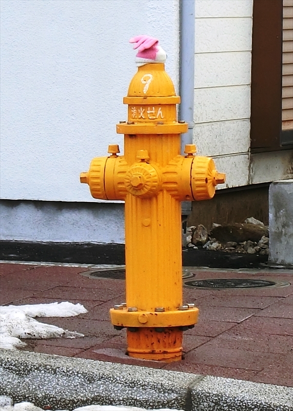 CIMG1413_R