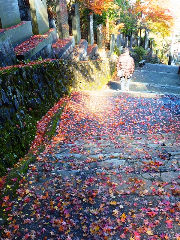 P1030517_R
