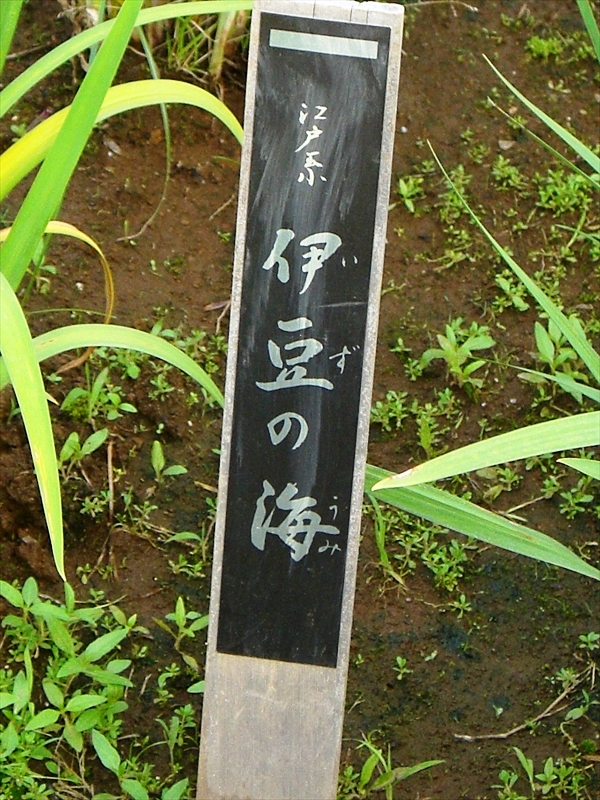 CIMG8782_R