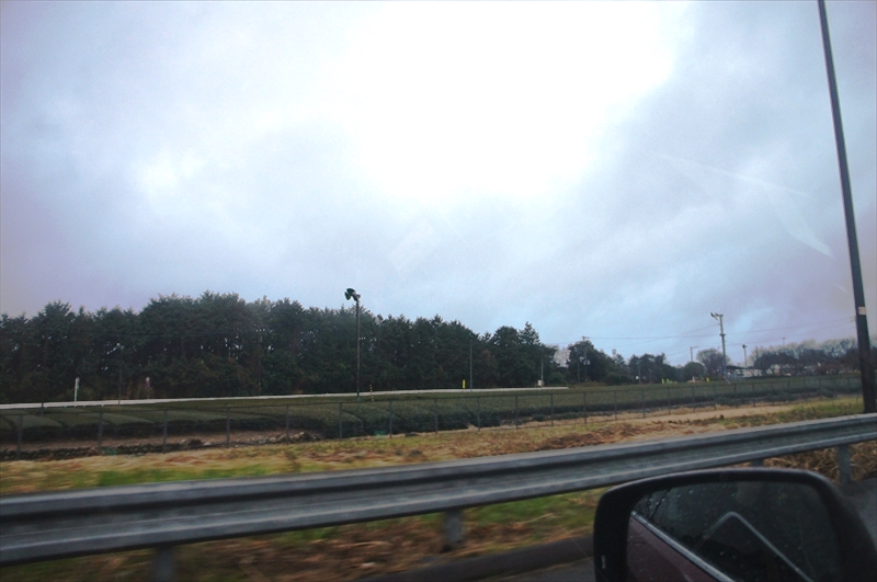 DSC00027_R