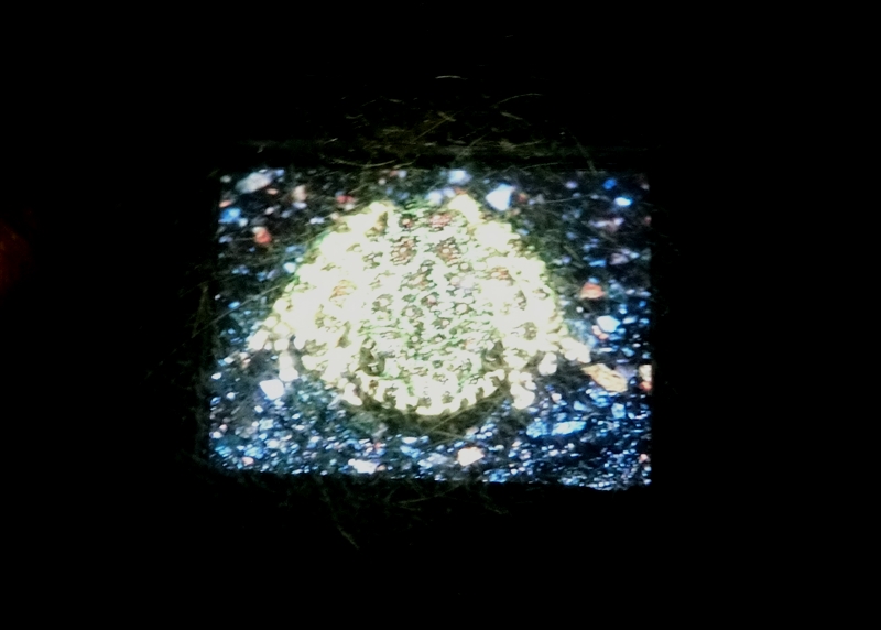 CIMG7437_R