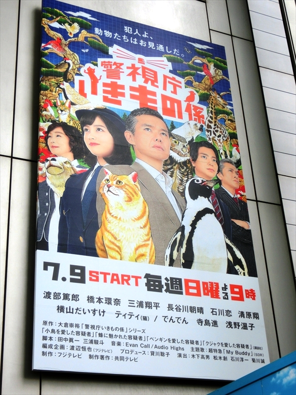 CIMG2784_R