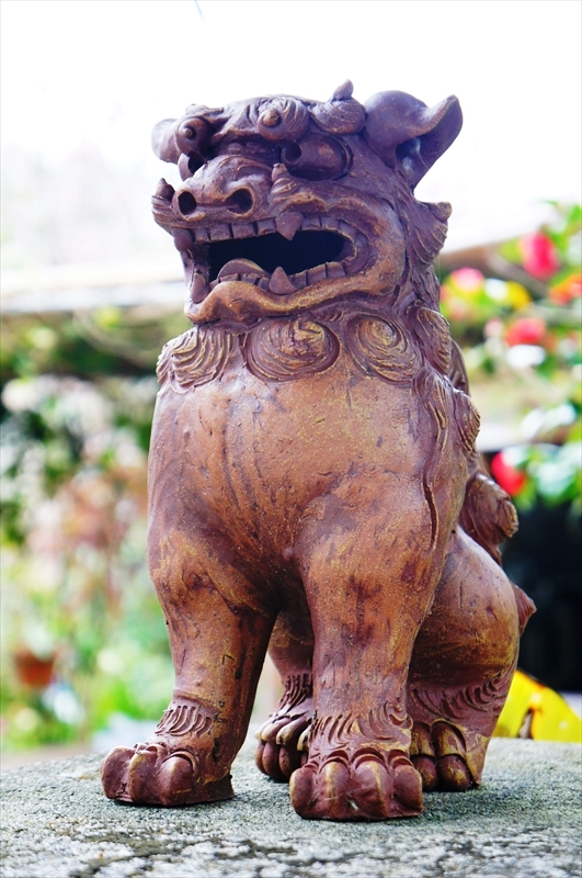 DSC02867_R