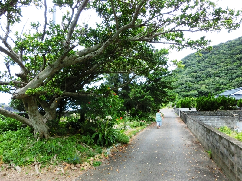 CIMG9733_R