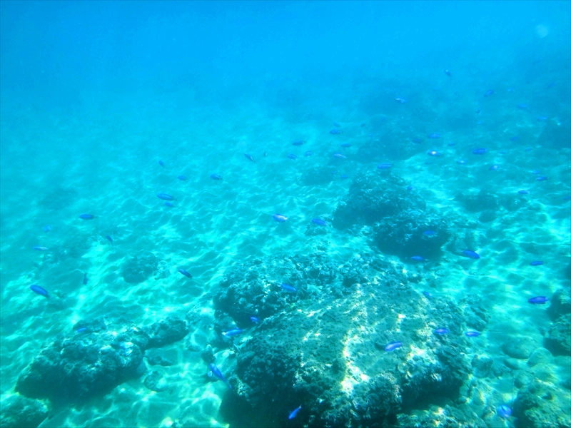 DSC07021_R