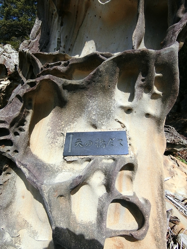 CIMG6565_R