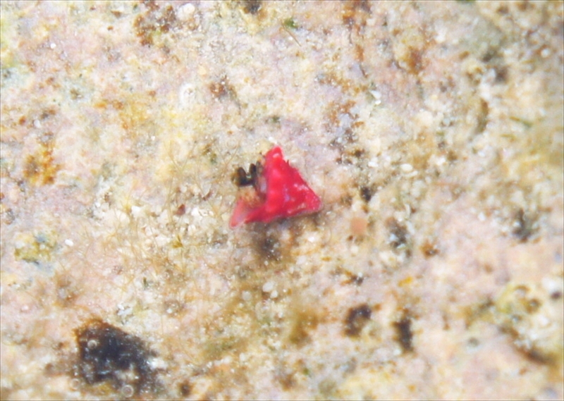 DSC00147_R