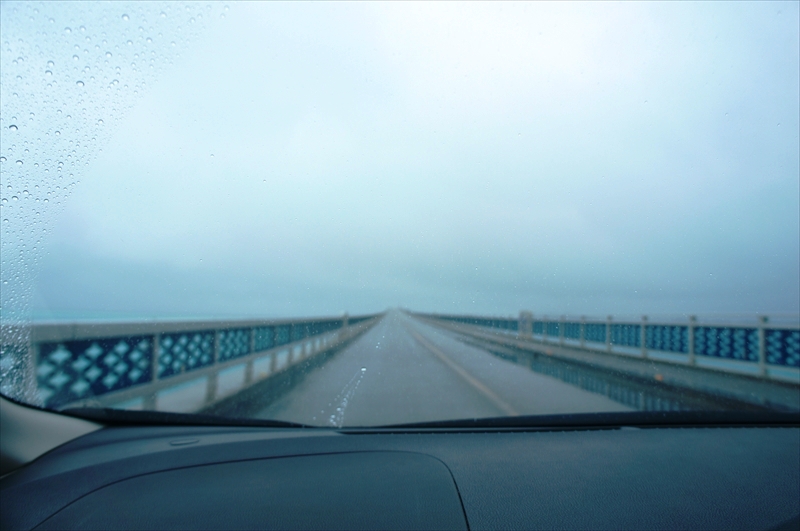 DSC00204_R
