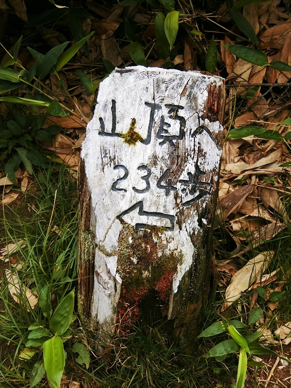 CIMG3771_R