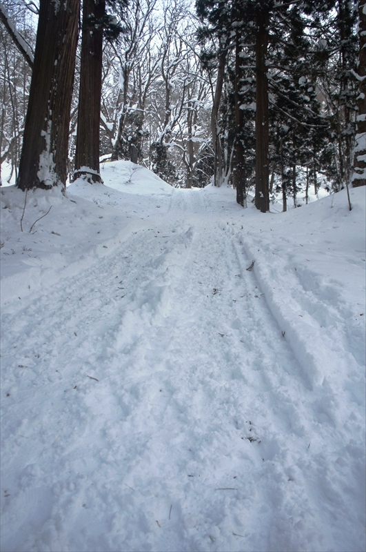 DSC00187_R