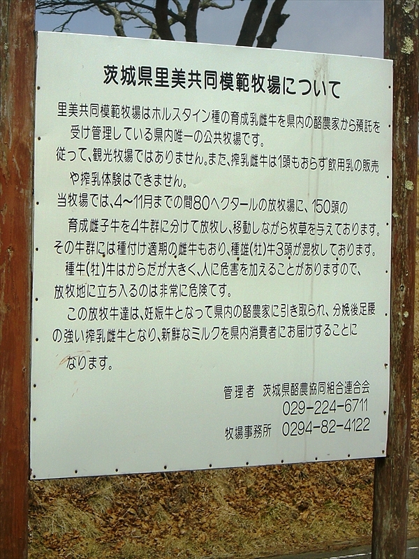 CIMG2697_R