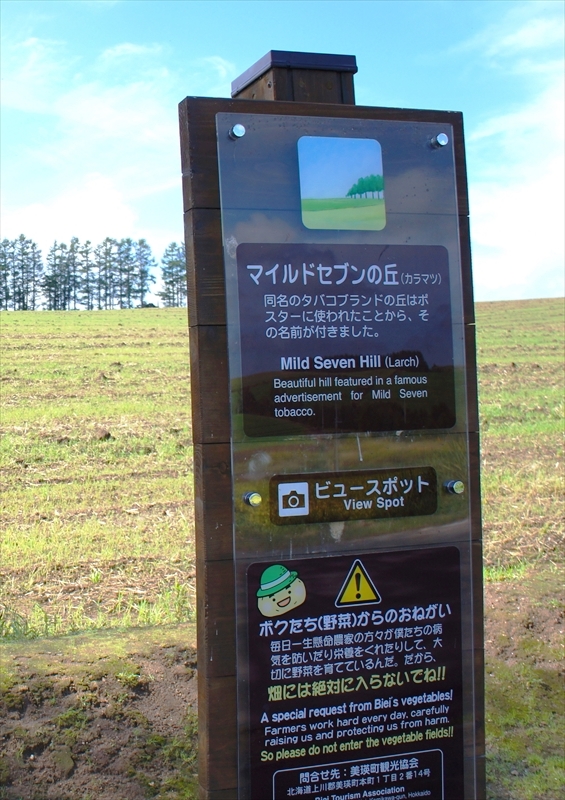 DSC01113_R