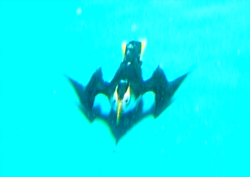CIMG5314_R