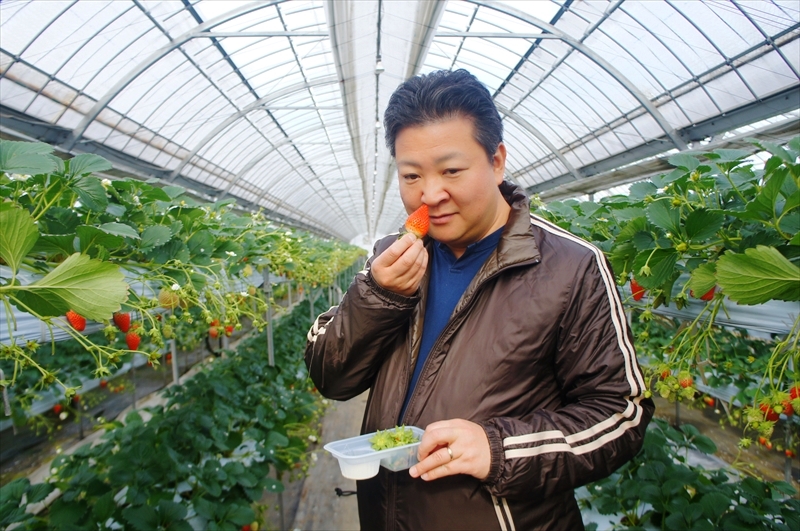 DSC00534_R