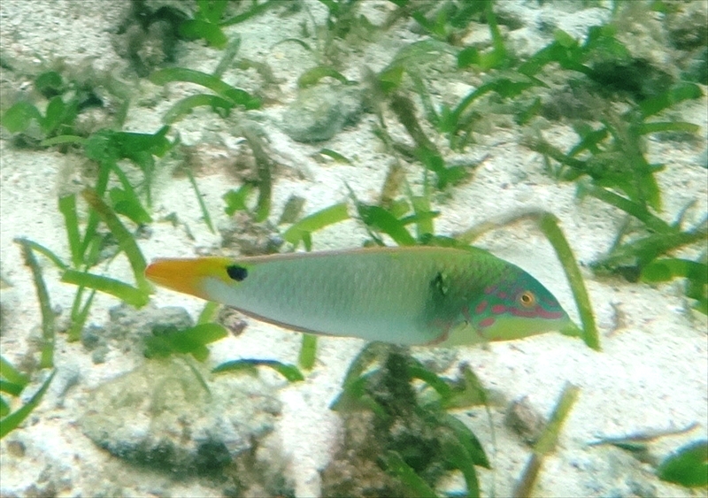 DSC00487_R