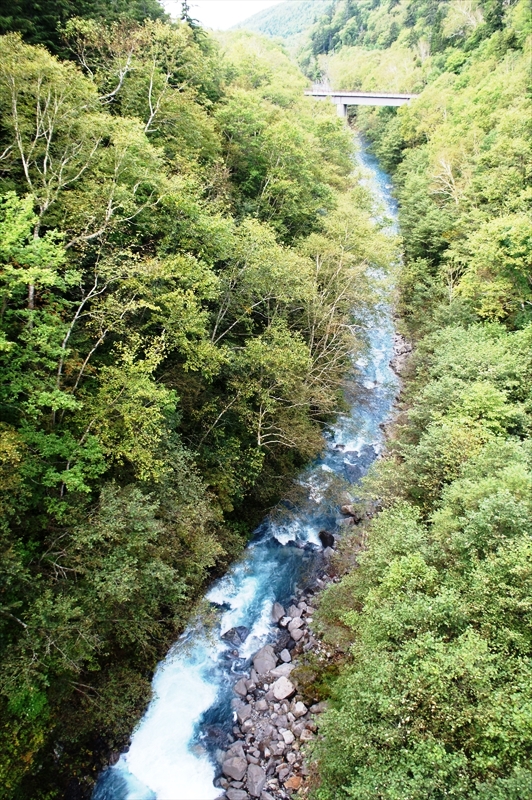 DSC00491_R