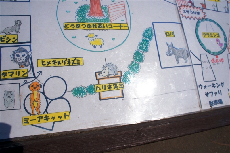 DSC08540_R