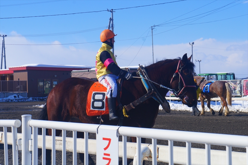 DSC00178_R