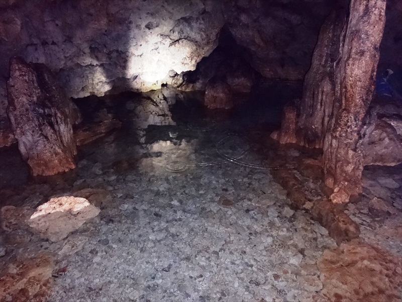 DSC08278_R