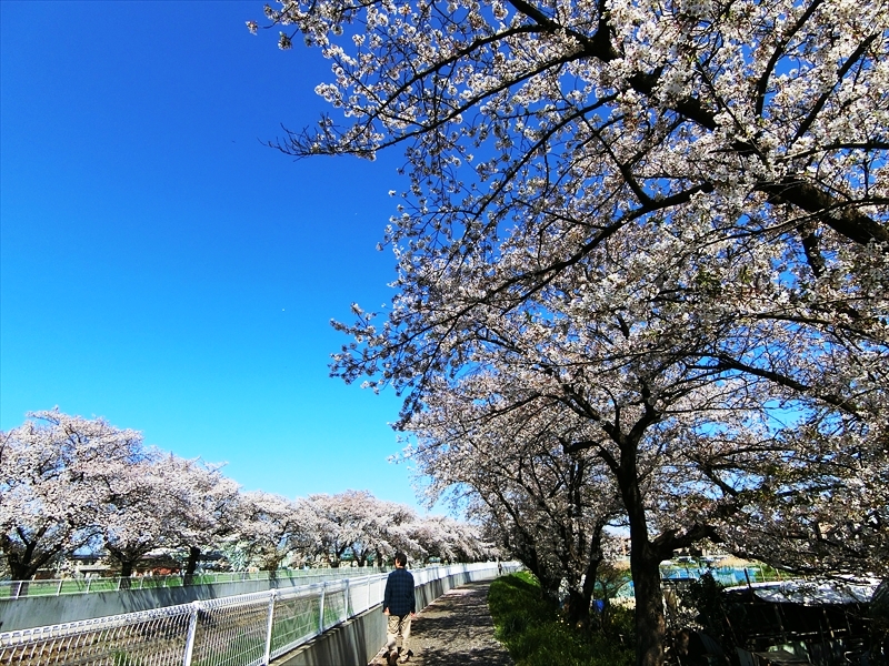 CIMG1417_R