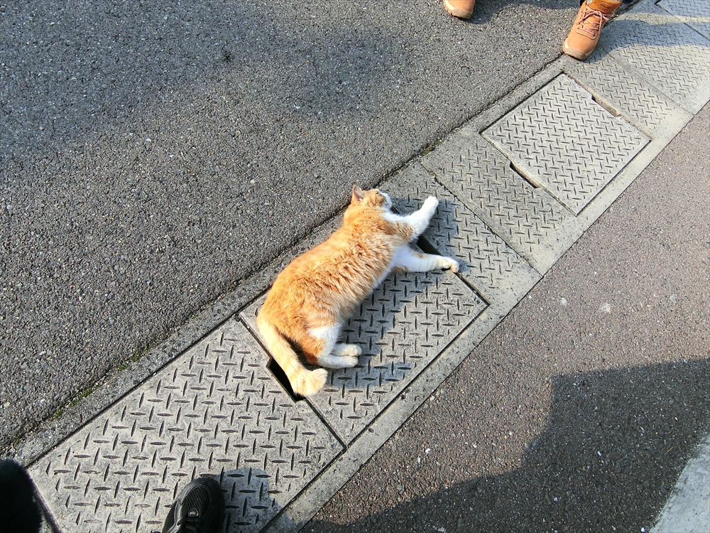 CIMG0133_R