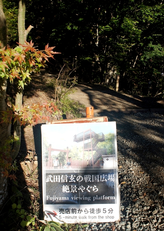 DSC01000_R