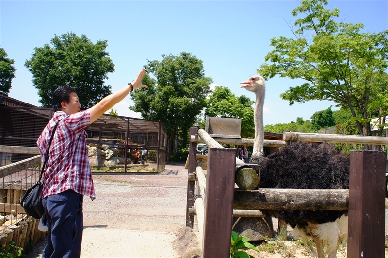 DSC08632_R