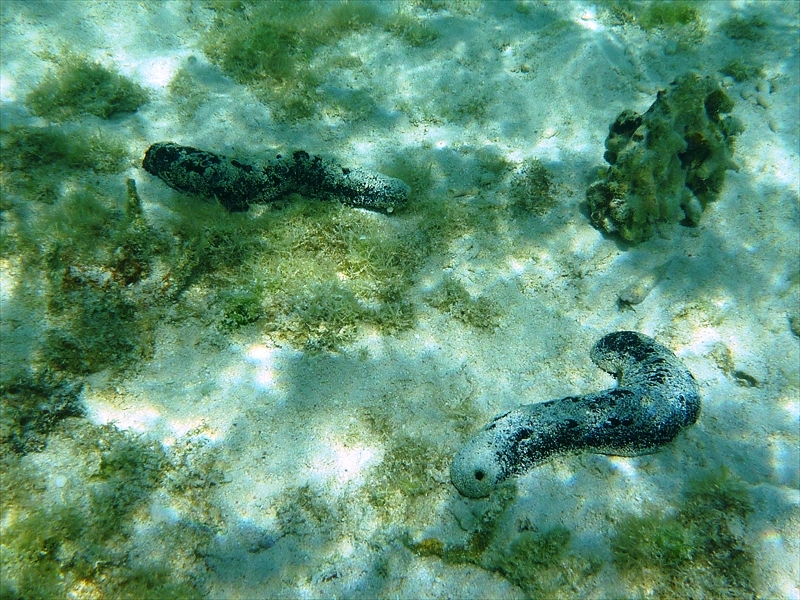 P1050672_R