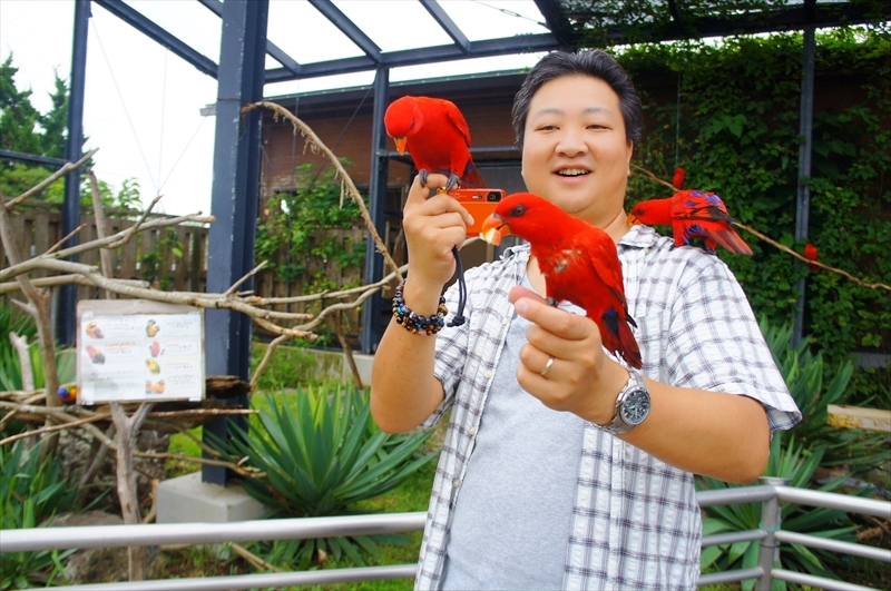 DSC07652_R