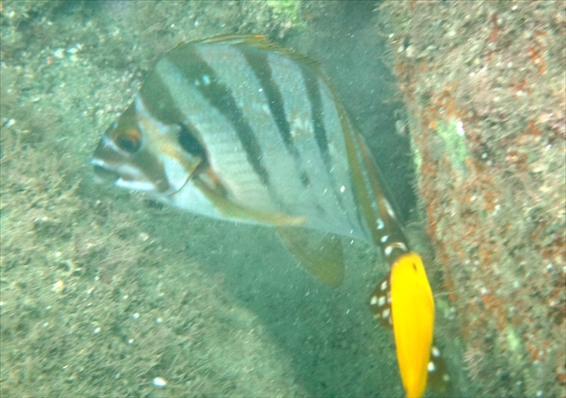 DSC07316_R