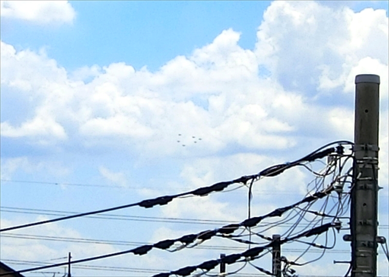 CIMG0410_R